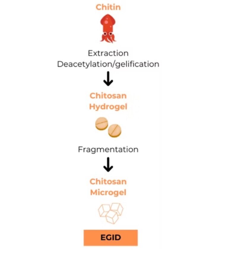 Medjeduse chitin image2